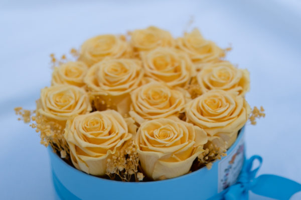 Rosas preservadas amarillas