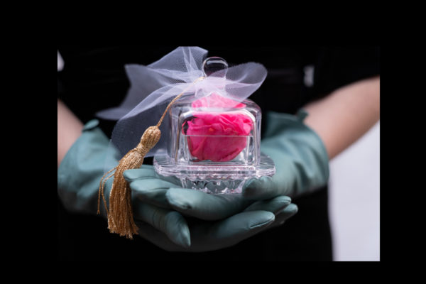 Un bonito detalle llamado aprecio (rosa)