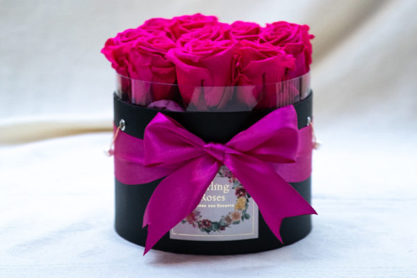 darling roses quizás quizás