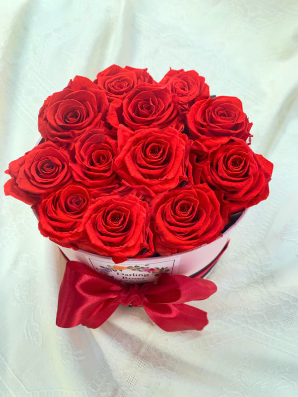 rosas con encanto pasional